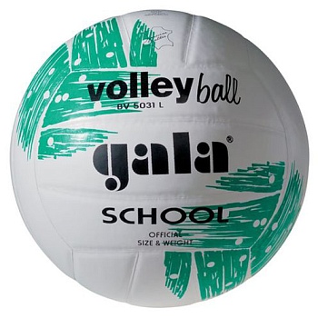 Мяч волейбольный Gala School BV5031L, размер 5