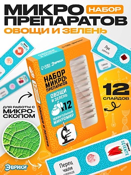 Набор для опытов Эврики, овощи и зелень 10899428