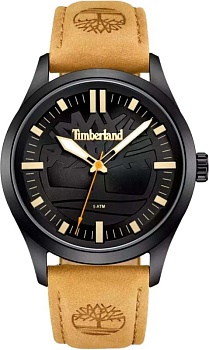 Наручные часы Timberland TDWGA0029601 в магазине Спорт - Пермь