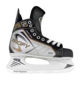 Хоккейные коньки СК PROFY-Z 2000