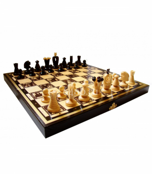 Шахматы Польские Короли, код 138