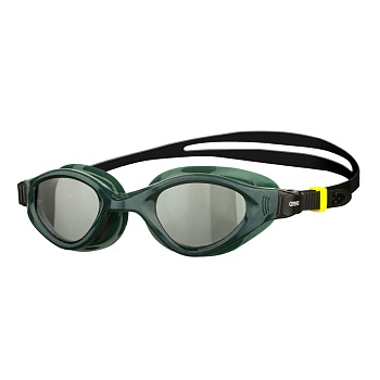 Очки для плавания ARENA CRUISER EVO 002509 565 smoked-army-black в магазине Спорт - Пермь