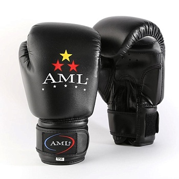 Перчатки боксерские AML Star 100-BI-2308A  в магазине Спорт - Пермь