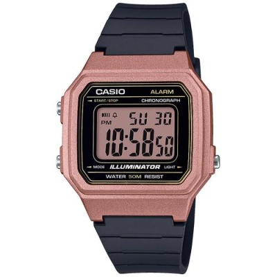 Наручные часы Casio W-217HM-5AVEF в магазине Спорт - Пермь