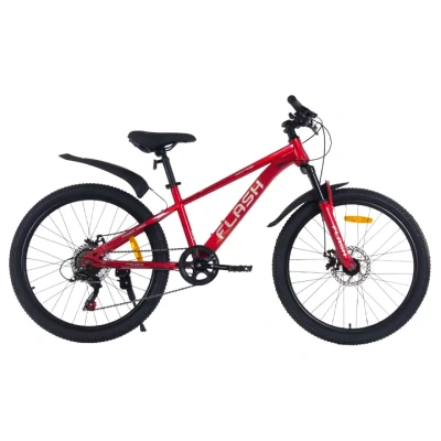 Велосипед TechTeam MTB Flash 24 (13) в Магазине Спорт - Пермь