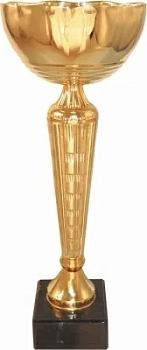 Кубок 560B (2) Высота 250мм