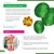 Микроскоп Levenhuk Discovery Micro Polar с книгой