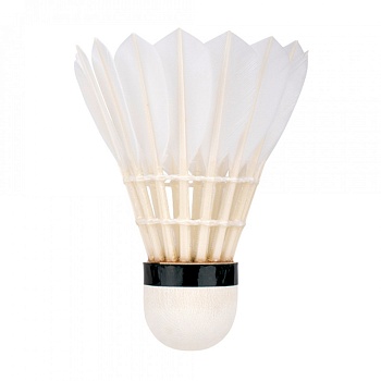 Волан для бадминтона YONEX AS-50 #2 медленный