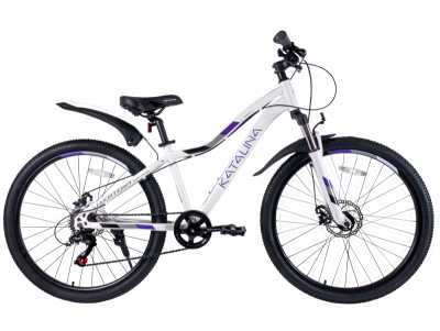 Велосипед TechTeam Katalina, 24" x13", белый в Магазине Спорт - Пермь