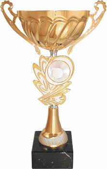 Кубок 508E (5) металл высота 240мм