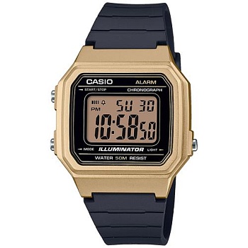 Наручные часы Casio W-217HM-9AVEF в магазине Спорт - Пермь