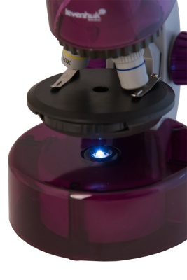 Микроскоп Levenhuk LabZZ M101 (Аметист)