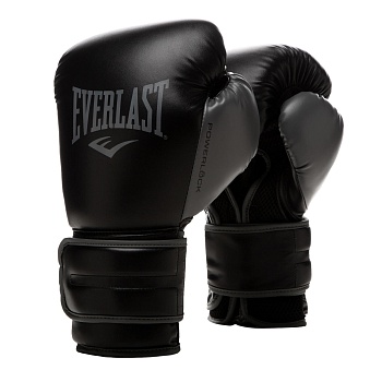 Перчатки боксерские тренировочные Everlast Powerlock PU2 в магазине Спорт - Пермь