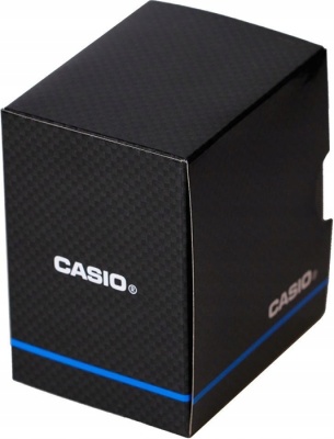 Часы Casio LA-20WH-1C с хронографом в магазине Спорт - Пермь