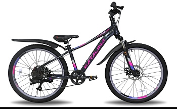 Велосипед TechTeam Katalina, 24" x13", черный