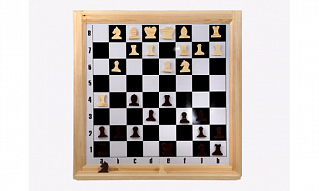 Шахматы+шашки настенные демонстрационные Орлов