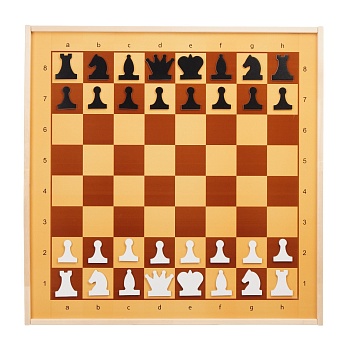 Шахматы демонстр.магн.73*73*3,5+шашки 5378462