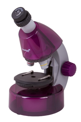 Микроскоп Levenhuk LabZZ M101 (Аметист)