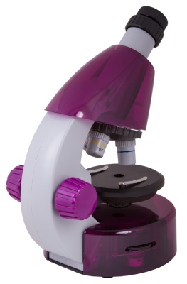 Микроскоп Levenhuk LabZZ M101 (Аметист)