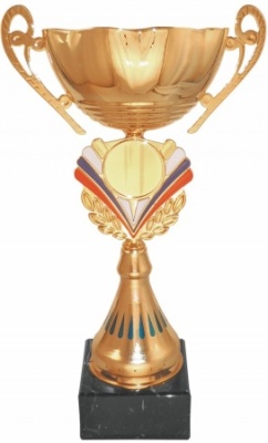 Кубок 506A (1) металл