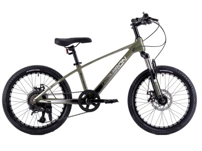 Велосипед COMIRON RAPID R20К, 20”(рама 11,5), цвет хаки матовый/серебристо-чёрный глянцевый в Магазине Спорт - Пермь