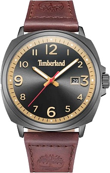 Наручные часы Timberland TDWGB0028602 Actwell в магазине Спорт - Пермь