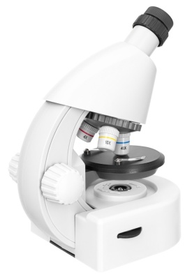 Микроскоп Levenhuk Discovery Micro Polar с книгой