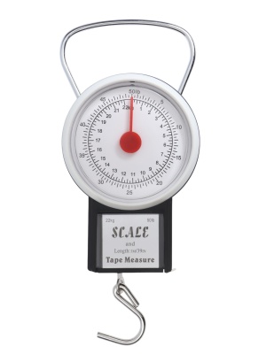 Весы-безмен механические, до 22 кг, цена деления 250 г, чёрные, артикул 10885846