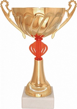 Кубок 504D(4), высота 19.5 см