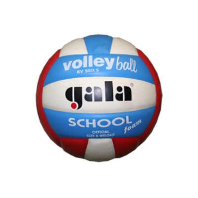 Мяч волейбольный Gala School Foam Colour BV5511S, размер 5