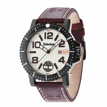 Наручные часы Timberland TBL 14479JSB/07 в магазине Спорт - Пермь