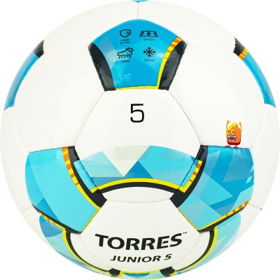 Мяч для футбола TORRES Junior-5, F320225, размер 5