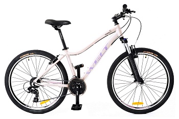 Велосипед Welt Edelweiss 1.0 26 2022 Grey, размер: S