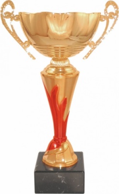 Кубок 7131D (4) высота 25.5см