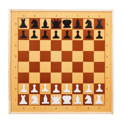 Шахматы демонстрационные магнитные, 73*73*3,5 + шашки, артикул 5378462
