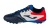 Бутсы многошиповые JOMA CANCHA CANS2403TF, цвет черный/белый