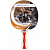 Ракетка для настольного тенниса DONIC/Schildkrot Top Team 300